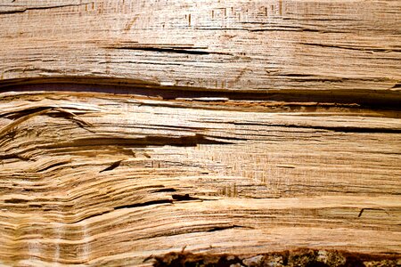 Grain wooden wood background photo