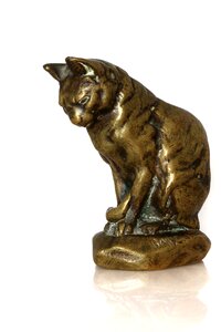 Cat barye Free photos