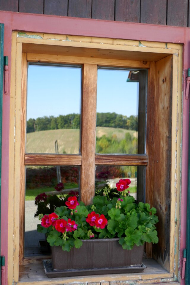 Window mirroring Free photos