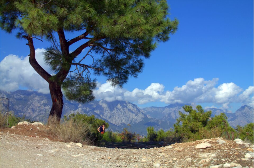 Nature view blue photo