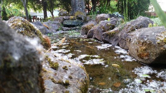 Pond rocks