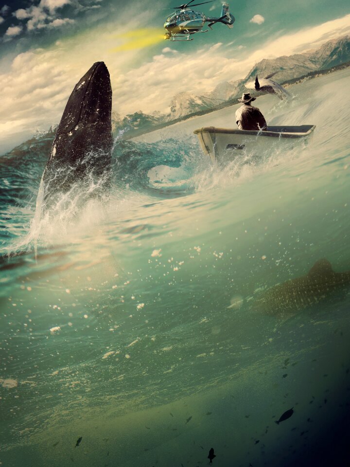 Animal creature sea
