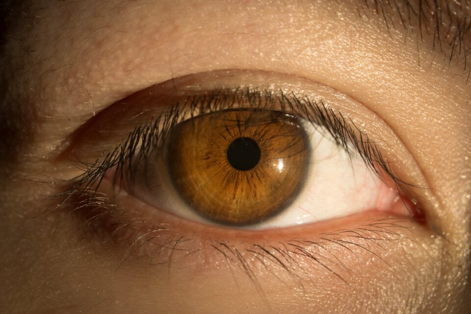 Eyes to watch look