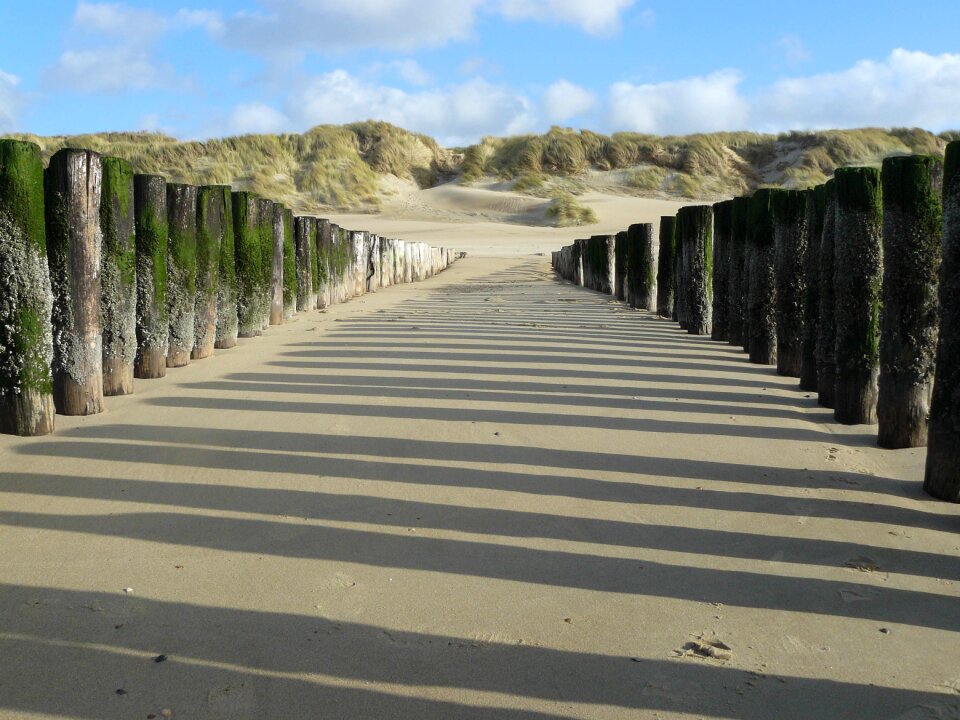 Coast zealand dunes