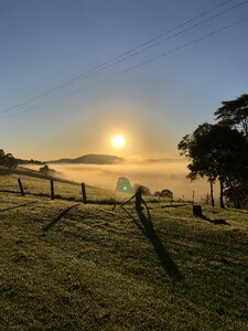 Early nature outdoor