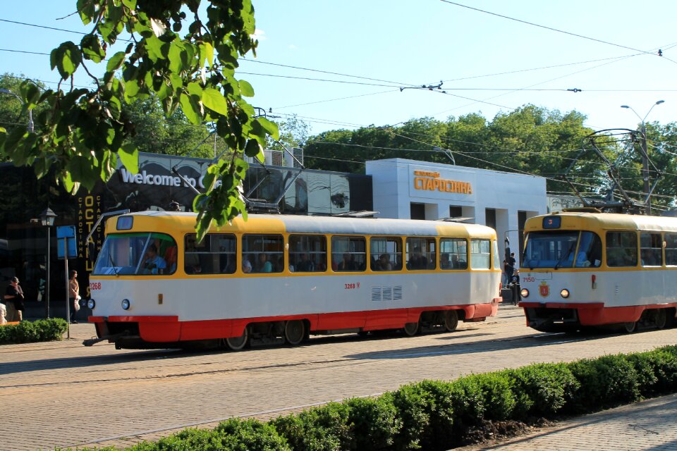 Odessa starosennaya square trees
