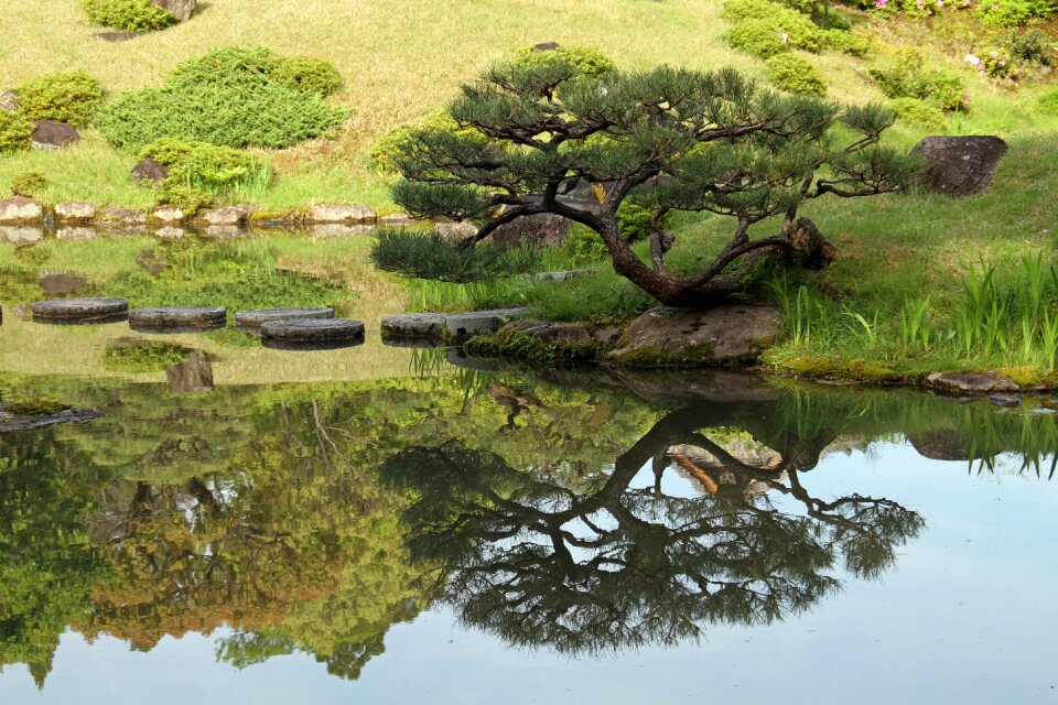Japanese garden nature green