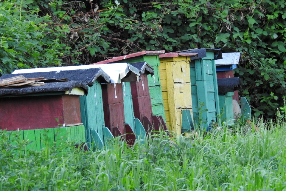Bees distributional effects beekeeping