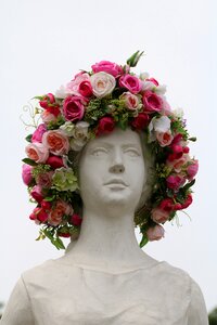 Fresh medium flowers plants