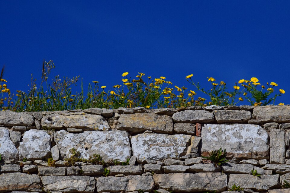Texture bricked background