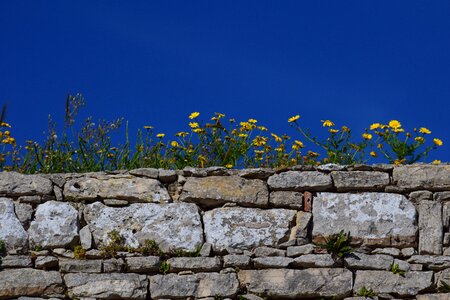 Texture bricked background photo