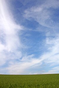 Clouds background daylight