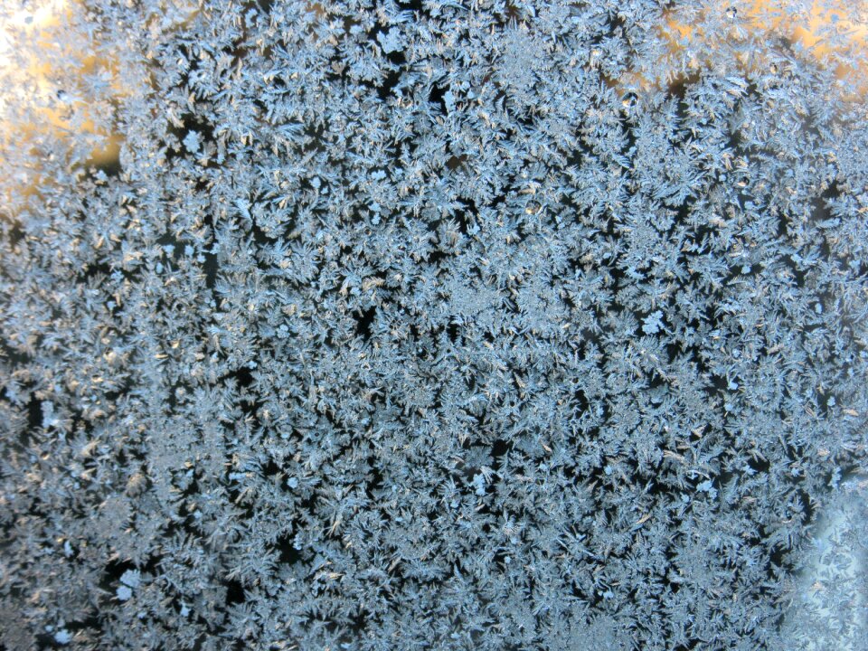 Ice star nature
