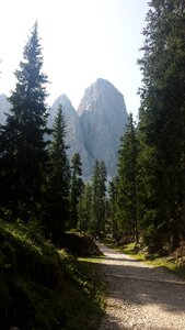 Nature mountain italy