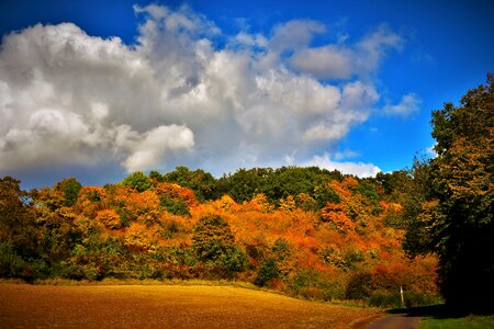 Autumn landscape fall colors Free photos photo