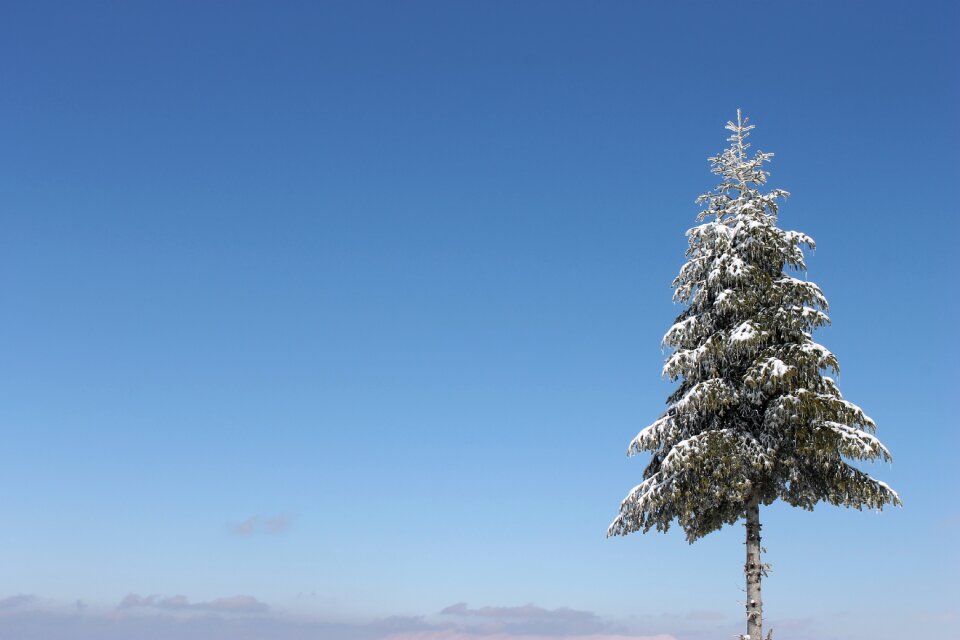 Albania landscape nature