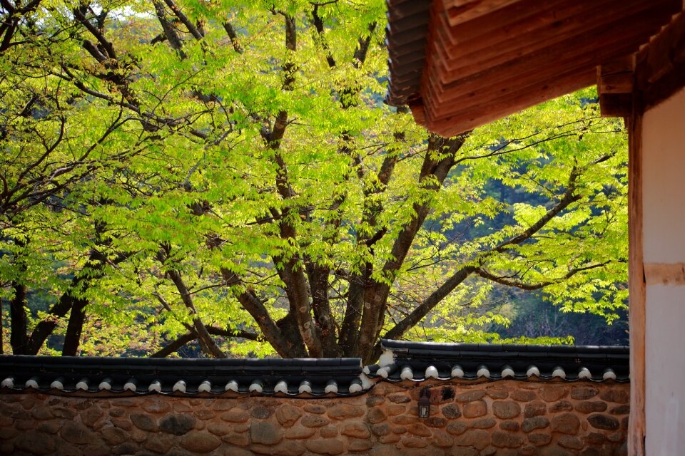 Republic of korea traditional building hanok village