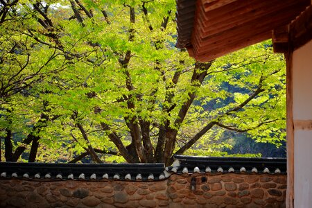 Republic of korea traditional building hanok village