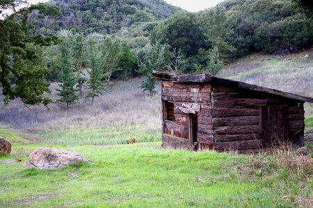 Ruins log rustic
