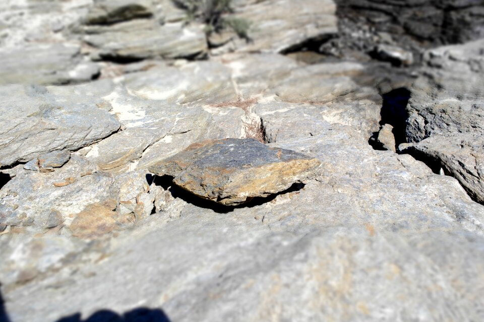 Stone Free photos