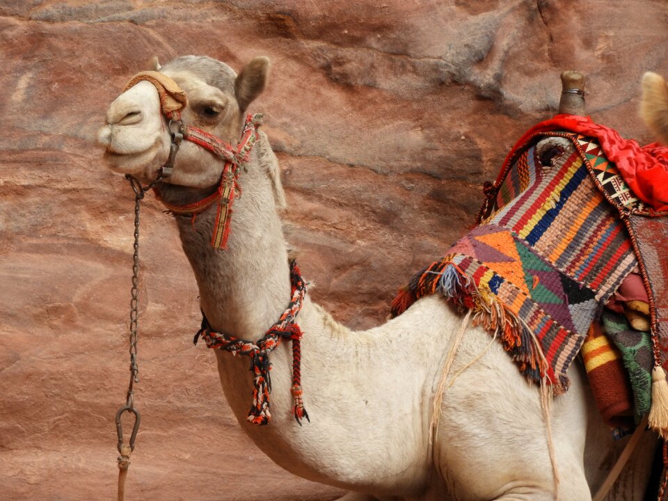 Travel arabian colorful