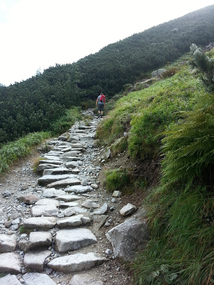 The path gravel road trail to the valley of five ponds