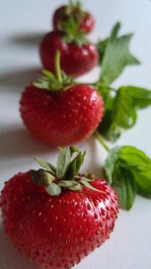 Red organic