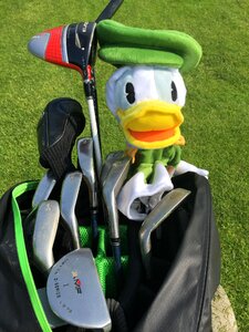 Green golf course golf clubs