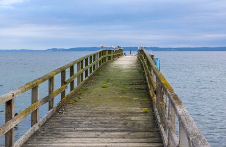Baltic sea boards wood