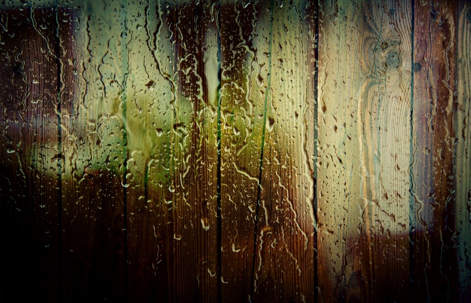 Trees water rain