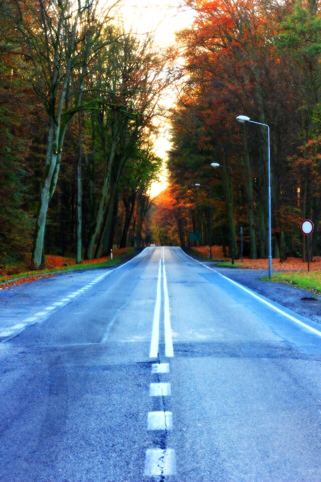 Way autumn west