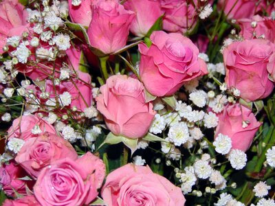 Spring bouquet pink rose
