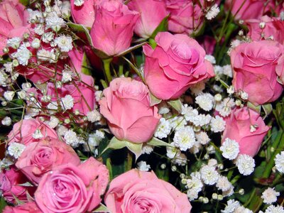 Spring bouquet pink rose photo