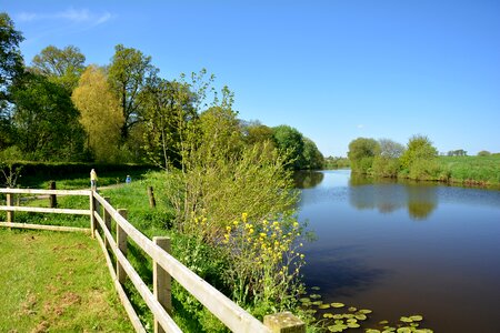 Green nature outdoor photo