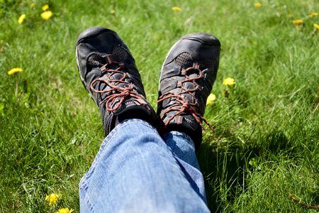 Keen grass green photo