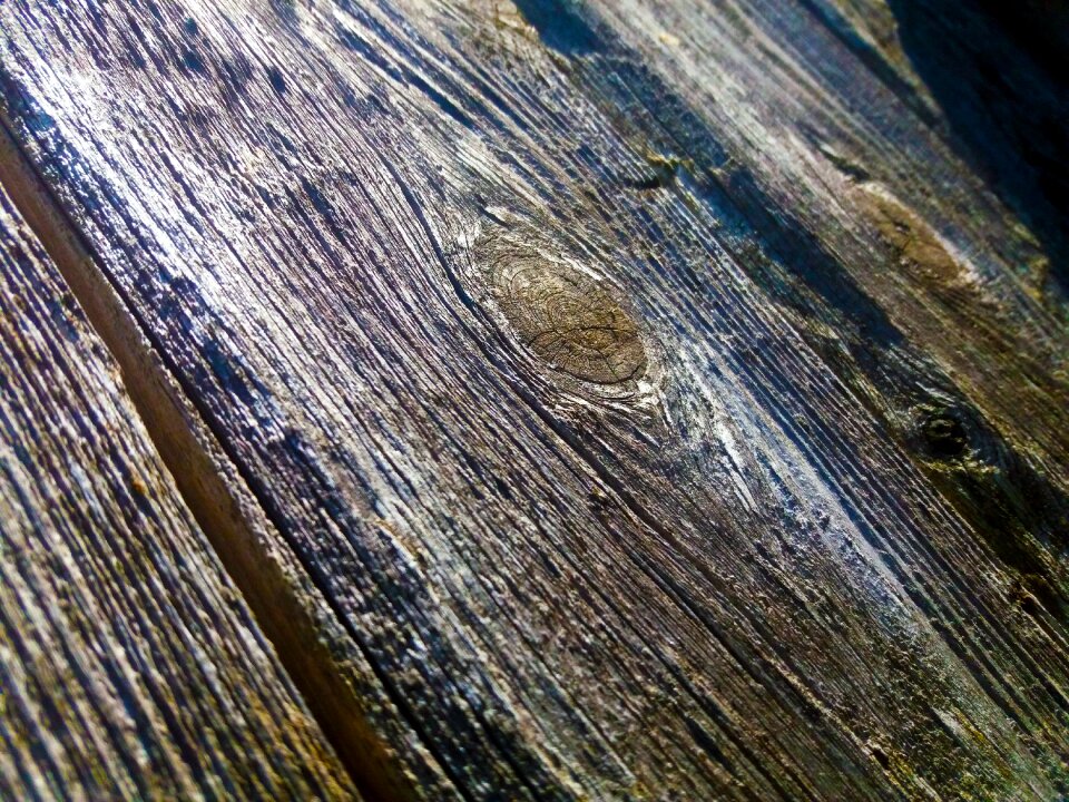 Wood fiber dry