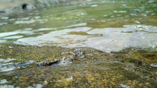 Stone natural river