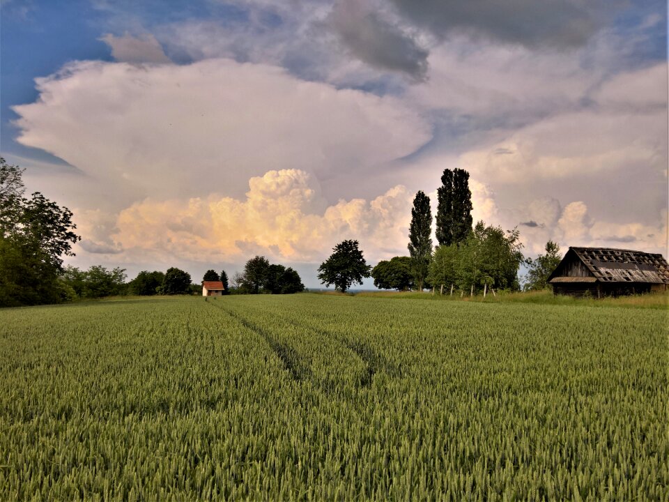 Green cumulonimbus incus