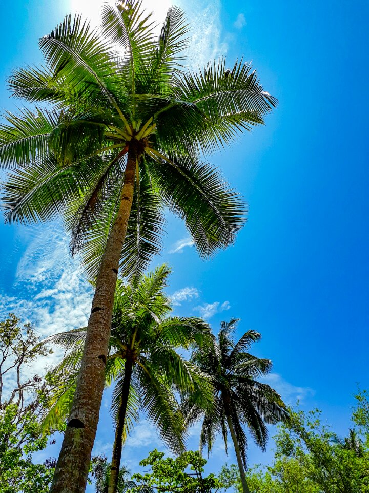 Blue relax cloud