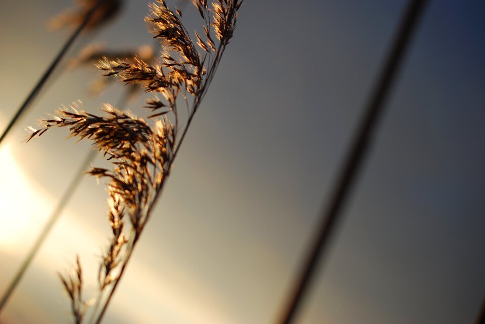 Summer bright blur