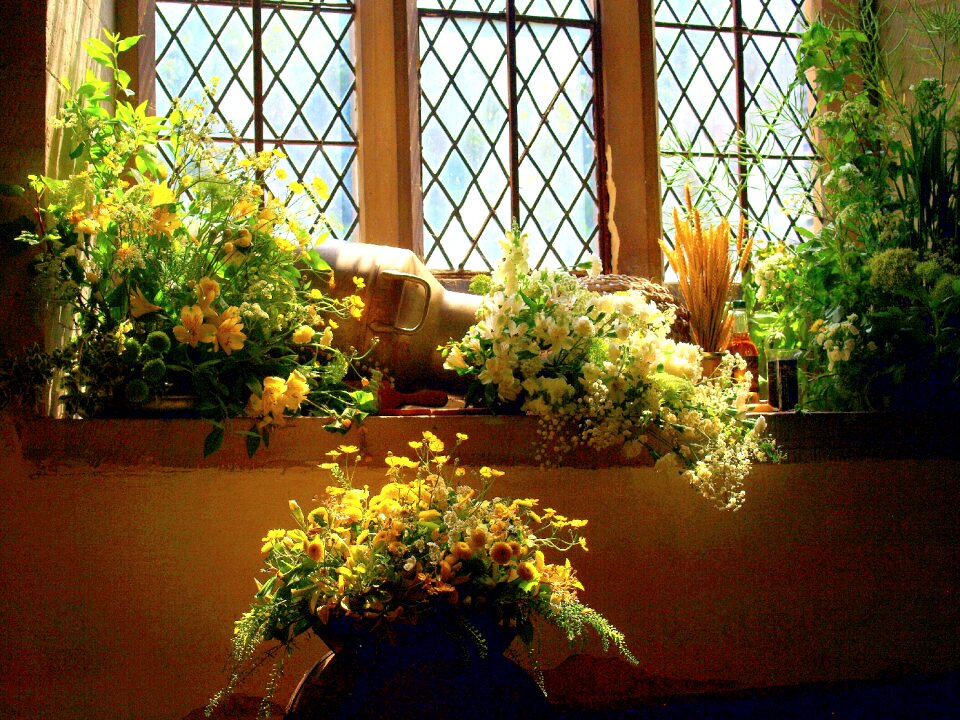 Display window