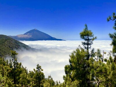 Clouds pine volcano photo