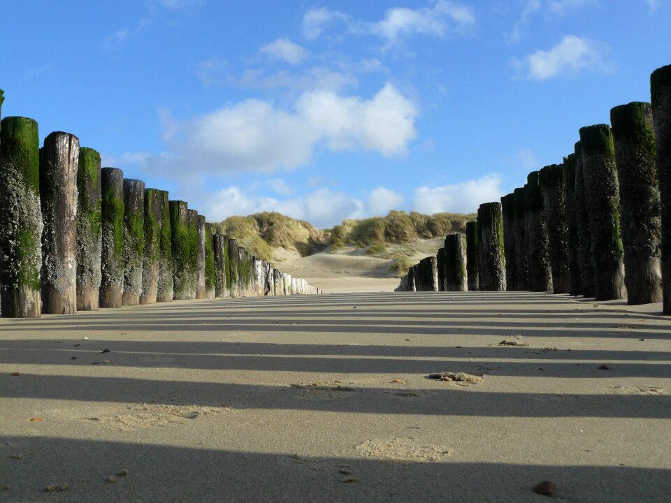 Coast zealand dunes