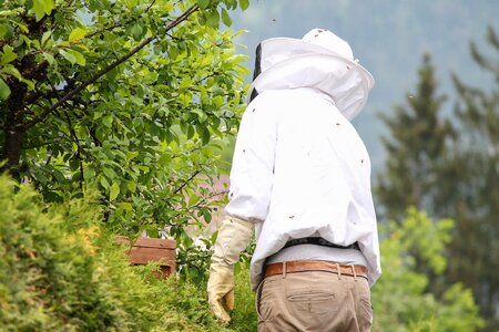 Bee-keeping protective clothing veil helmet photo