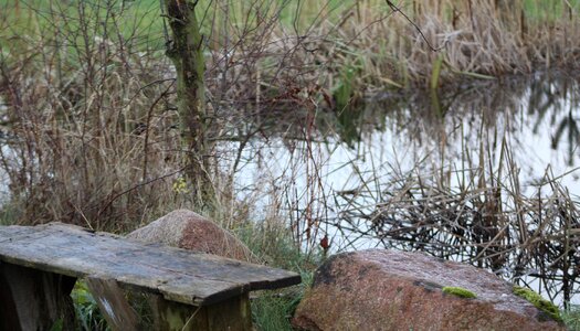 Pond bench rock