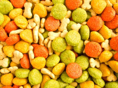 Pet dog food nutrition