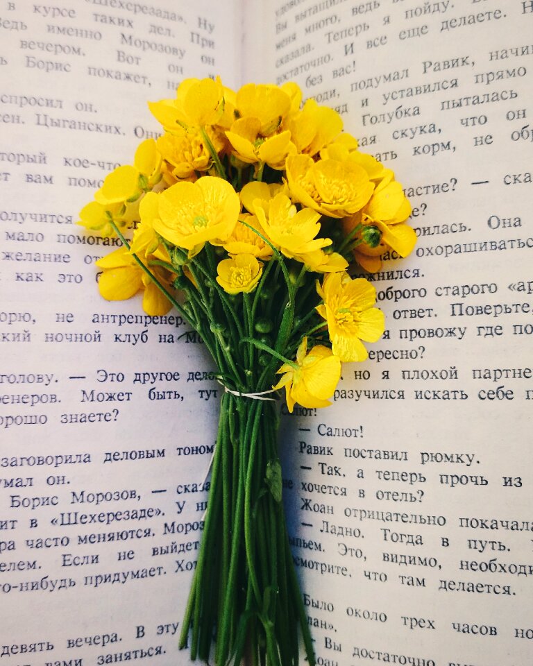 Flowers book bouquet
