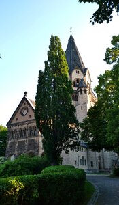 Martin luther protestant lutheran