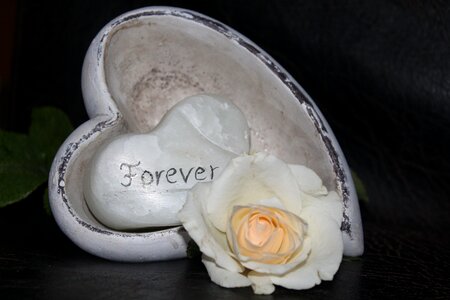 Heart romantic roses