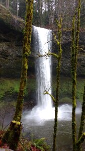 Waterfall oregon Free photos